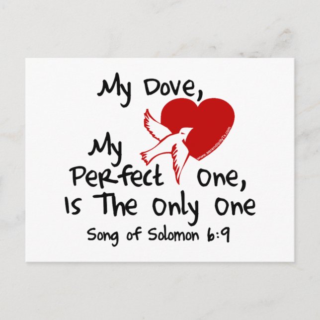 Song of Solomon 6:9 Postcard (Front)