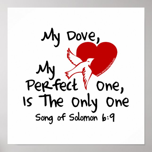 Song of Solomon 6:9 Poster (Front)