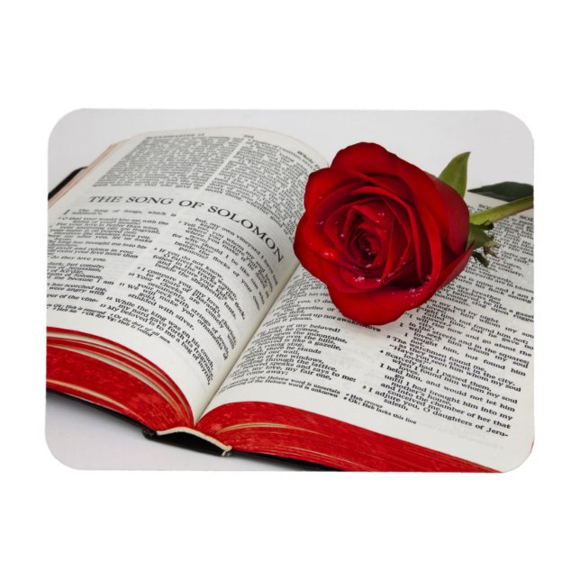 Song Of Solomon Gift Premium Magnet (Horizontal)
