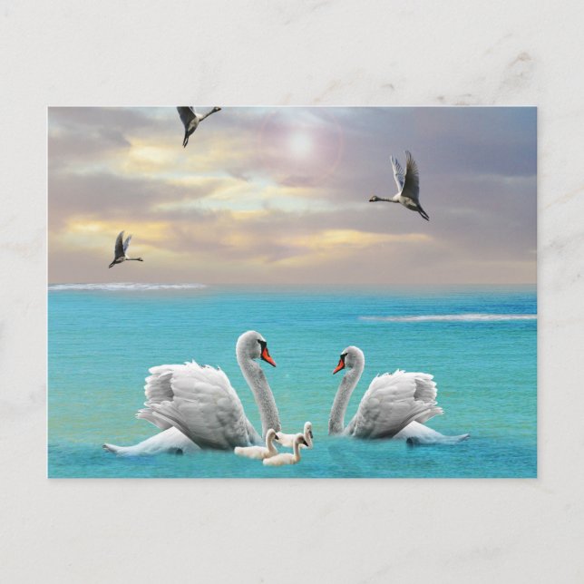 Song Of The White Swan, Postcard (Front)