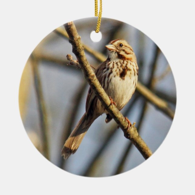 Song Sparrow Ornament (Front)