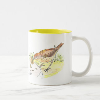 Song Thrush mug