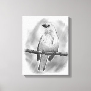 Songbird Canvas Print