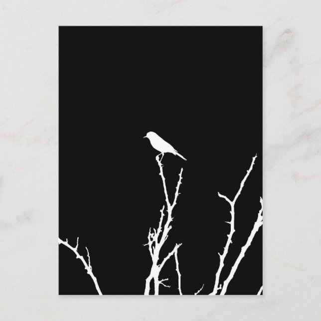 Songbird Night Postcard (Front)