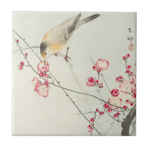 Songbird on Blossom Branch by Ohara Koson Tile