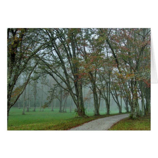 Songbird Trail II (Front Horizontal)