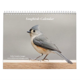 Songbirds 2026 calendar