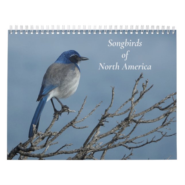 Songbirds of North America Calendar (Cover)