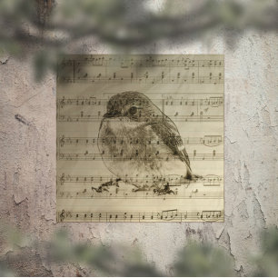Songs of Birds Poster