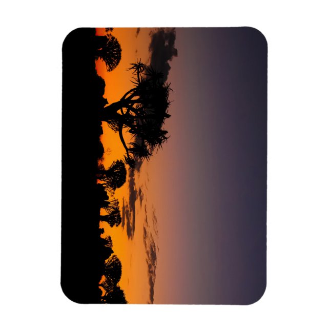 Sonnenuntergang in Namibia Magnet (Vertical)