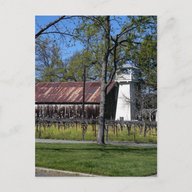 Sonoma County, California Postcard (Front)