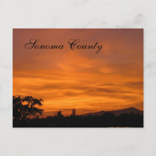 Sonoma Sunset 3 Postcard