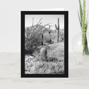 Sonoran Cacti Desert Garden Photo Greeting Cards