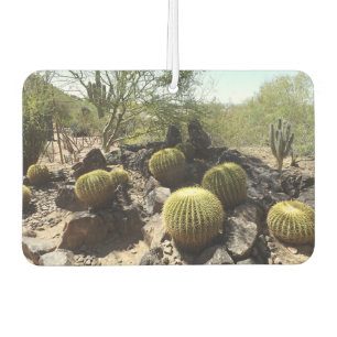 Sonoran Desert Air Freshener