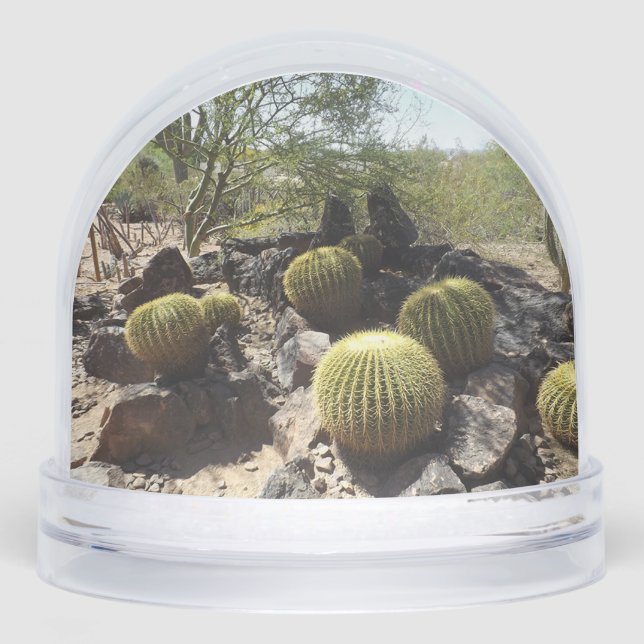 Sonoran Desert Snow Globe (Front)