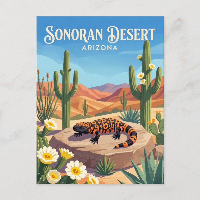 Sonoran Desert USA Postcard (Front)