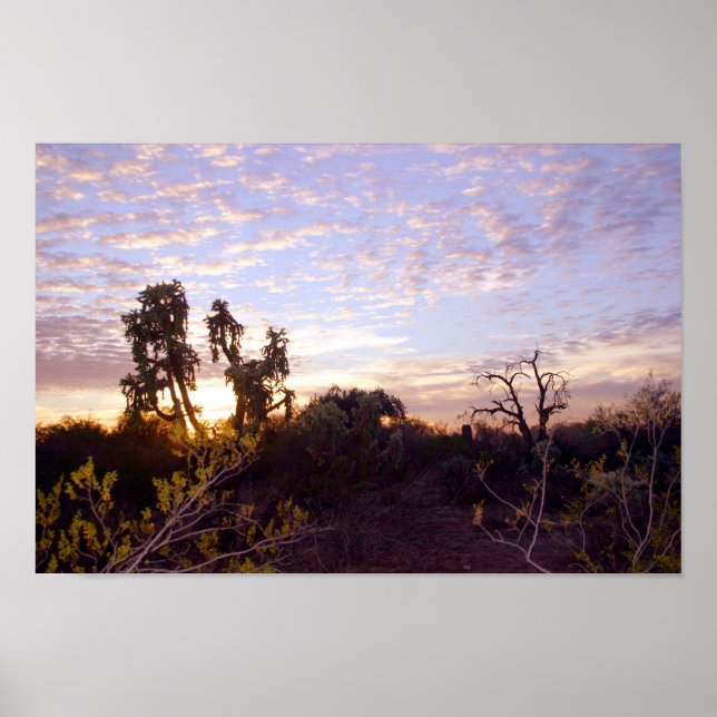 Sonoran Sunset Poster (Front)