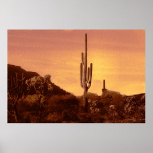 sonoran sunset  print
