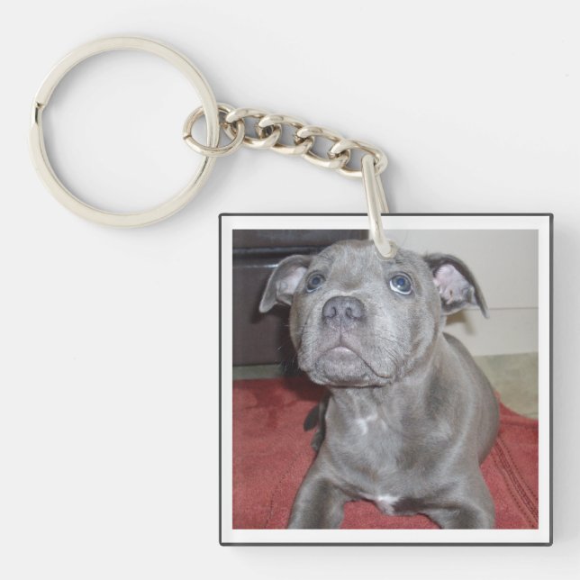 Sooky Blue Staffordshire Bull Terrier Puppy, Key Ring (Front)