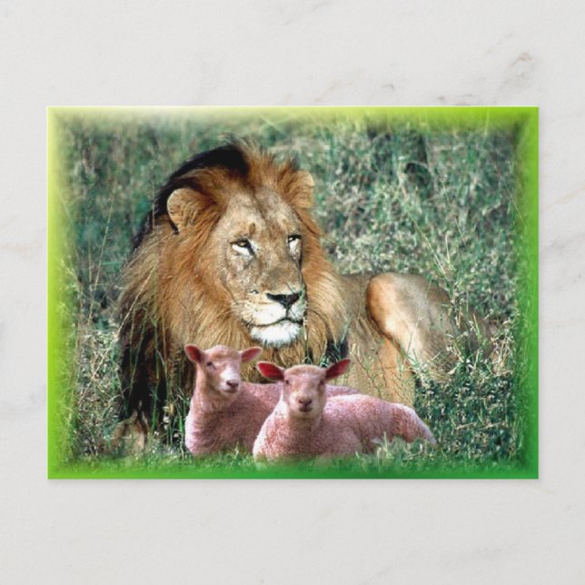 Soothes the Soul - Postcard (Front)