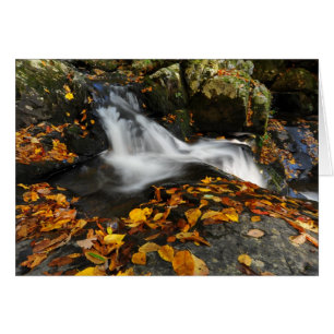 Soothing Water
