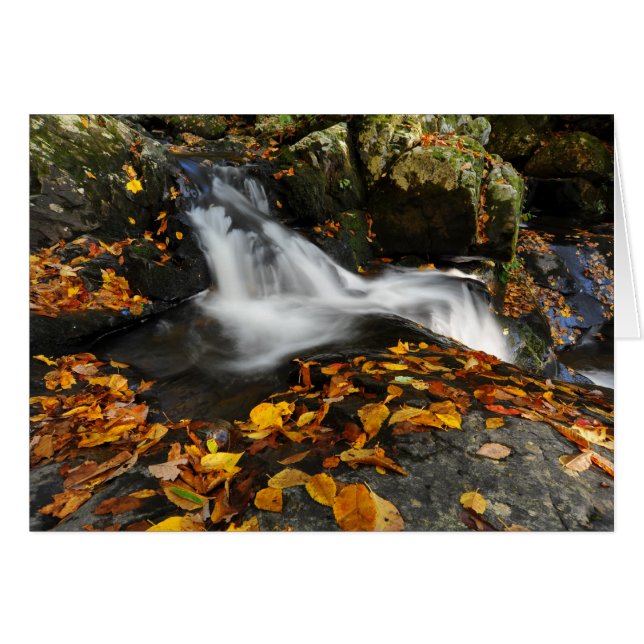 Soothing Water (Front Horizontal)