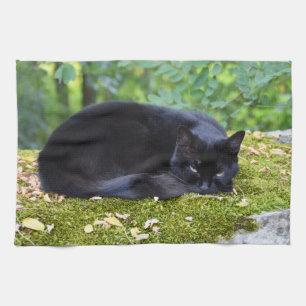 Sooty the black cat tea towel