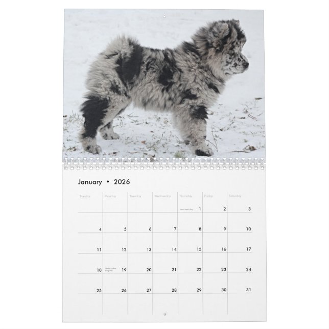 Sophia 2015 Custom Chow Calendar (Jan 2026)