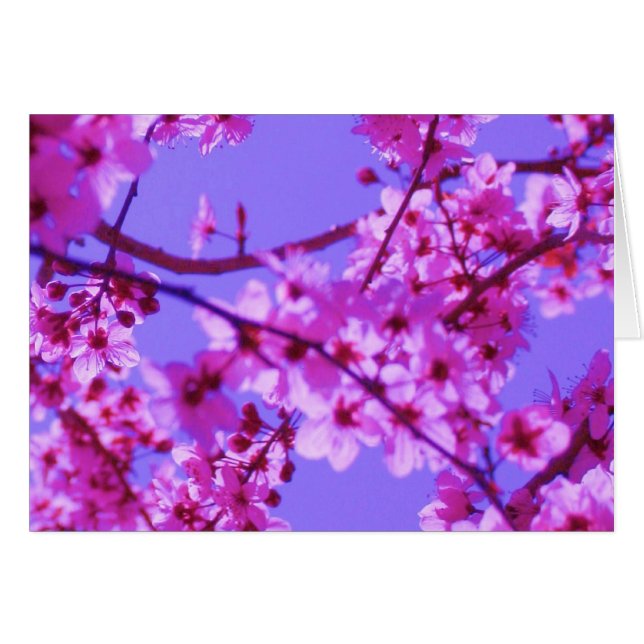 Sophie Card Template (Front Horizontal)