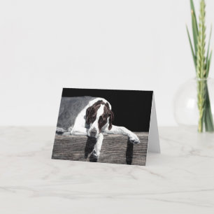 "Sophie" - English Pointer Card