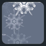 Sophisticated blue/grey snowflakes square sticker<br><div class="desc">Sophisticated and classy,  blue-ish grey snowflakes.</div>