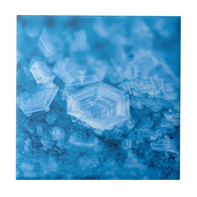 Sophisticated Style: Elegance Ceramic Tile Collect (Front)