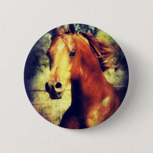 Sorrel Arabian 6 Cm Round Badge