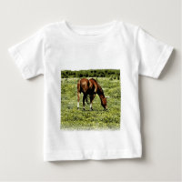Sorrel Horse