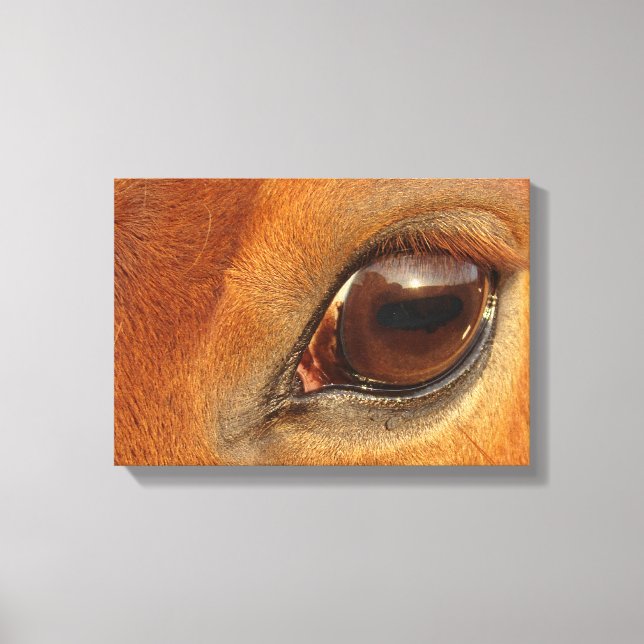 Sorrel Horse Eye Canvas Print (Front)