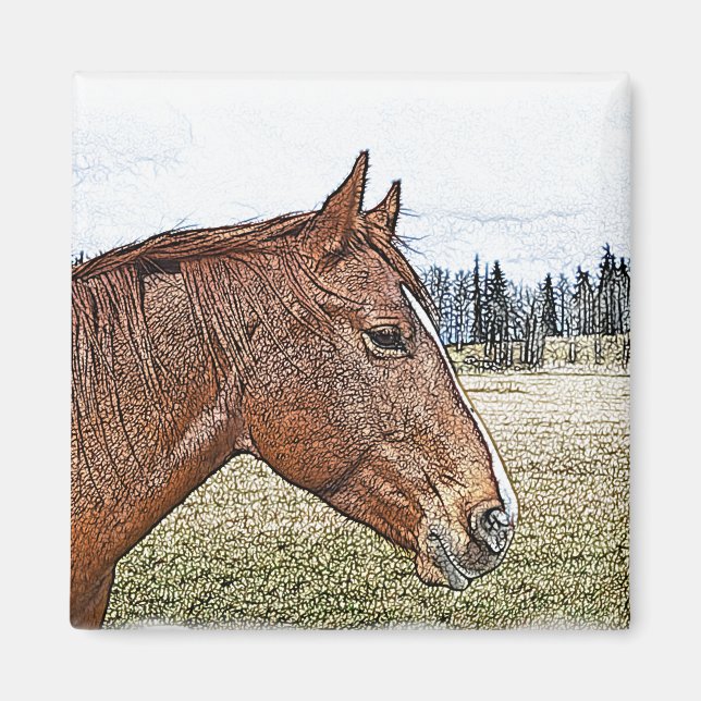 Sorrel Horse Portrait Equine Art Illustration Magnet (Front)