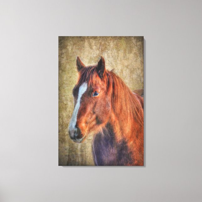 Sorrel Horse Portrait on Rustic Grunge-effect Canvas Print (Front)