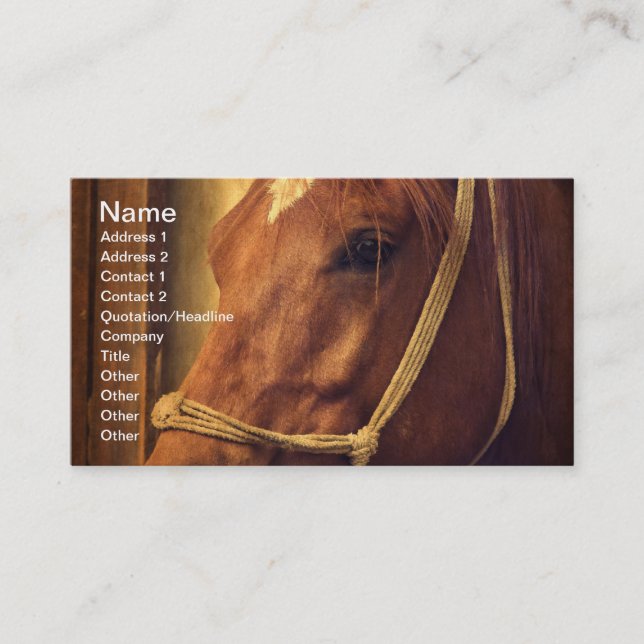 Sorrel in Rope Halter Business Card (Front)