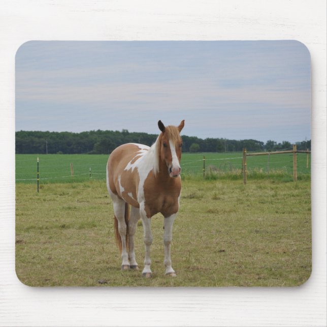 Sorrel Tobiano Paint Horse Mouse Pad (Front)