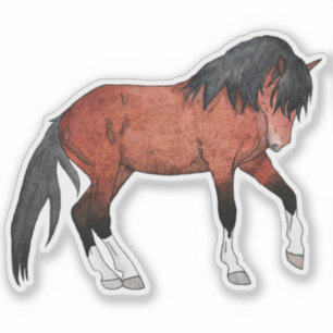 Sorrel with White Socks