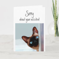 Sorry about Accident Flowers Fun Siamese Cat Pet