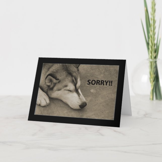 Sorry! Card (Front)