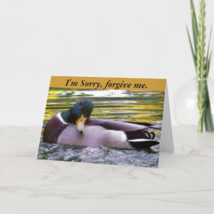 Sorry_ Card