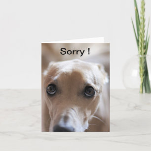 Sorry! Card