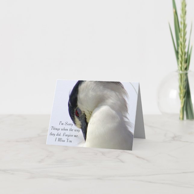 Sorry_ Card (Front)