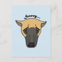 Sorry Card I'm sorry postcard Cute Funny Dog sorry