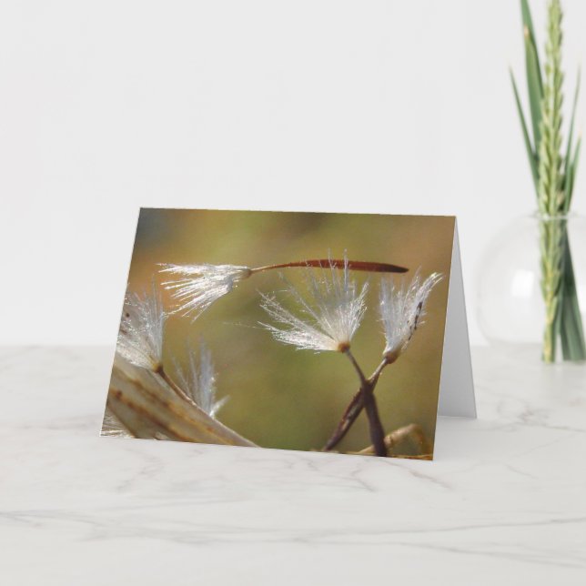 Sorry For Your Loss Dandelion With Poem Card (Front)