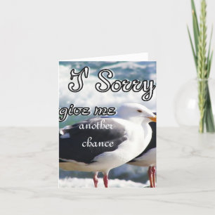 Sorry,Forgive Me_ Card