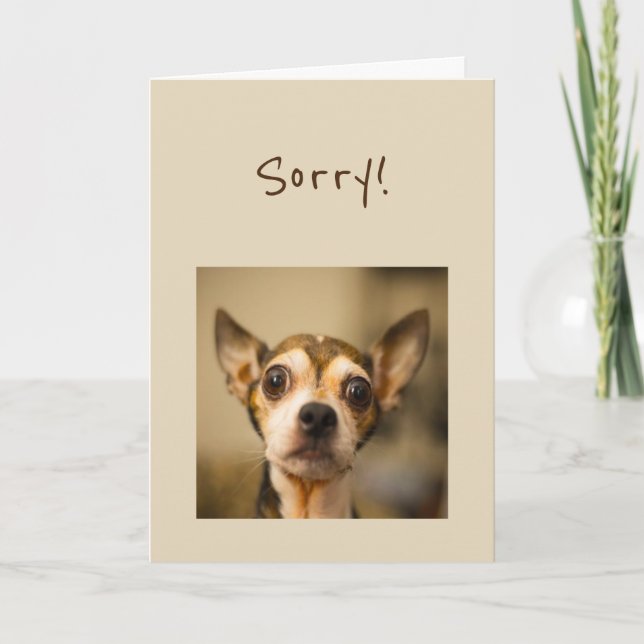 Sorry Fun Chihuahua Dog Card (Front)