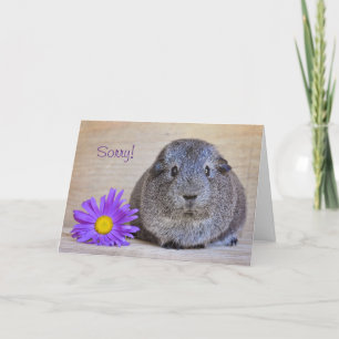 Sorry Guinea Pig Card Gerbera Daisy